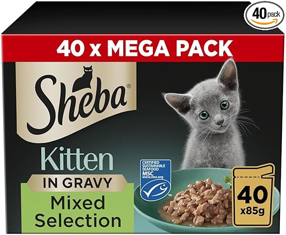 Cat Food