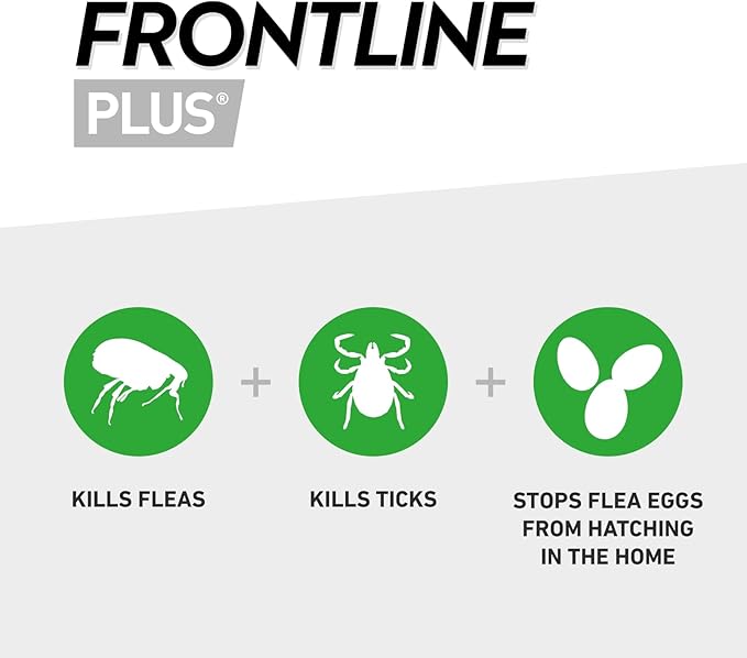 FRONTLINE Spot On Flea & Tick Treatment for Cats - 6 Pipettes